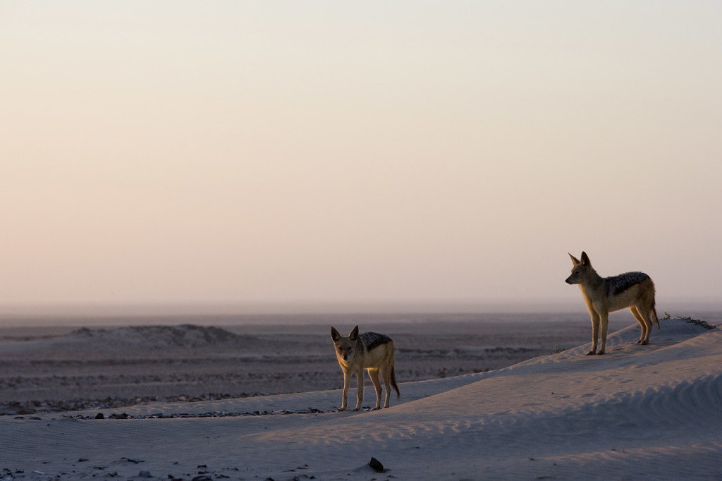 Of shipwrecks and sand dunes