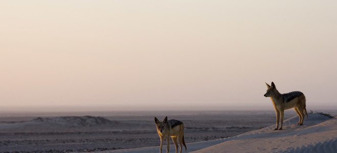 Of shipwrecks and sand dunes